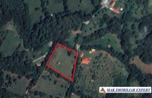 teren-intravilan-4950-mp-in-albestii-de-muscel-arges-1