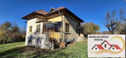 vanzare-casa-cu-4-camere-bucatarie-2-holuri-beci-cu-teren-de-10556-mp-pret-140000-euro-negociabil-8