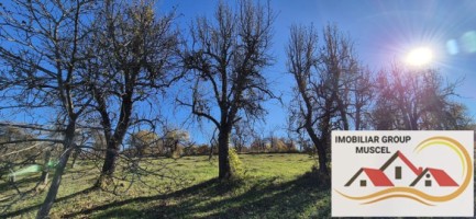 vanzare-casa-cu-4-camere-bucatarie-2-holuri-beci-cu-teren-de-10556-mp-pret-140000-euro-negociabil-15