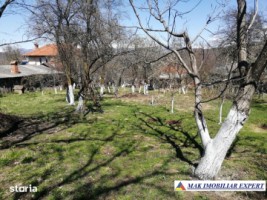 casa-5-cam-teren-2600-mp-in-marcus-campulung-muscel-arges-12