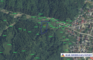 teren-4586-mp-intravilan-in-rucar-arges-2