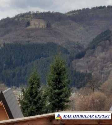 teren-extravilan-2000-mp-de-vanzare-in-dragoslavele-arges-12