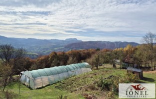 casa-in-muntii-apuseni-cu-114144-mp-teren-30