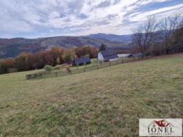 casa-in-muntii-apuseni-cu-114144-mp-teren-27