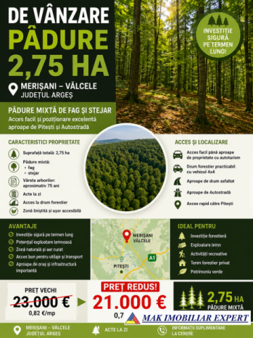 padure-275-ha-in-merisani-valcelele-arges-1