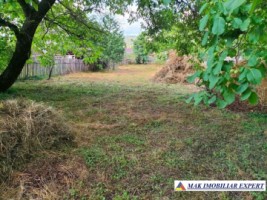 casa-veche-4-cam-teren-1400-mp-in-retevoiesti-domnesti-ag-6