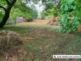 casa-veche-4-cam-teren-1400-mp-in-retevoiesti-domnesti-ag-4