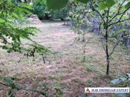 casa-veche-4-cam-teren-1400-mp-in-retevoiesti-domnesti-ag-5