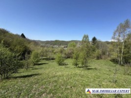 casa-4-cam-teren-278-ha-in-apa-sarata-campulung-muscel-ag-4