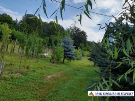 casa-4-camere-teren-2850-mp-de-vanzare-schitu-golesti-arges-93