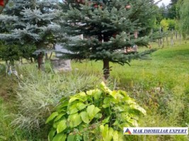 casa-4-camere-teren-2850-mp-de-vanzare-schitu-golesti-arges-94