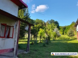 casa-4-camere-teren-2850-mp-de-vanzare-schitu-golesti-arges-71