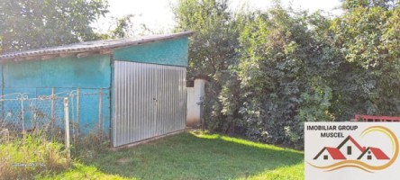 casa-si-teren-1571-mp-bughea-de-sus-55000-euro-3
