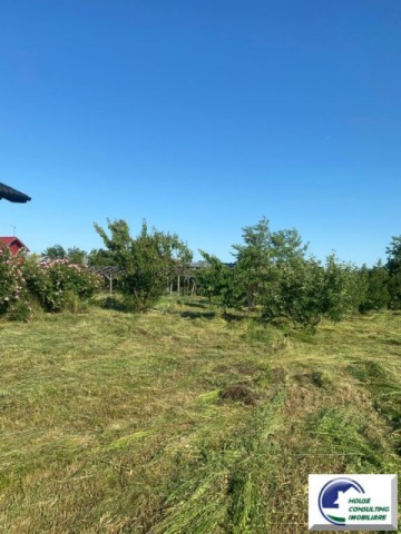casa-speciala-cu-3400-mp-teren-situata-in-valea-calugareasca-10
