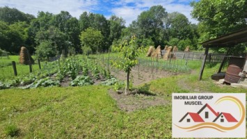 vanzare-doua-corpuri-de-case-in-vacarea-com-mihaesti-intr-o-zona-linistita-cu-teren-1500-mp-la-pretul-de-69000-euro-negociabil-19