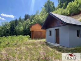 casa-de-vanzare-in-apuseni-horea-8