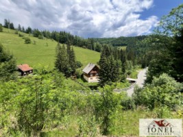 casa-de-vanzare-in-apuseni-horea-10