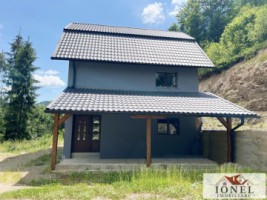 casa-de-vanzare-in-apuseni-horea-14