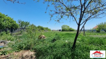 casa-cu-teren-1500-mp-zona-lucian-blaga-8
