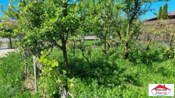 casa-cu-teren-1500-mp-zona-lucian-blaga-9