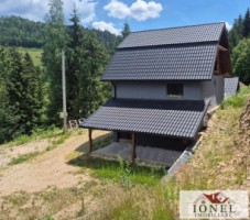 casa-de-vanzare-in-apuseni-horea-cu-16-000-mp-teren-3