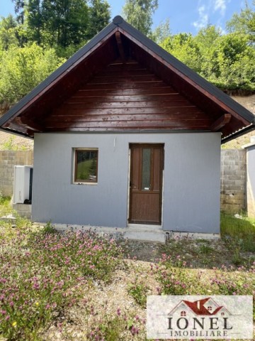 casa-de-vanzare-in-apuseni-horea-cu-16-000-mp-teren-11