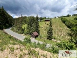 casa-de-vanzare-in-apuseni-horea-cu-16-000-mp-teren-13