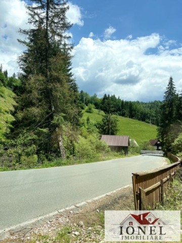 casa-de-vanzare-in-apuseni-horea-cu-16-000-mp-teren-18