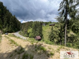 casa-de-vanzare-in-apuseni-horea-cu-16-000-mp-teren-17