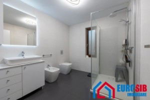 casa-individuala-pe-un-singur-nivel-sibiu-selimbar-brana-11