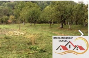 casa-6-camere-teren-8387-mp-poienarii-de-muscel-75000-euro-13