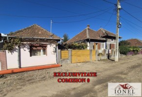 casa-de-vanzare-in-teius-0
