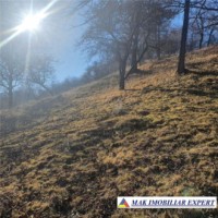 teren-intrav-4614-mp-in-v-romanestilor-campulung-muscel-ag-11