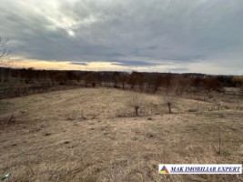 teren-1221-mp-intravilai-in-schitu-golesti-arges-5
