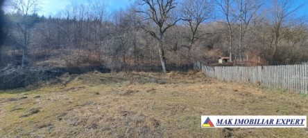 teren-4000-mp-intravilan-de-vanzare-in-aninoasa-arges-7