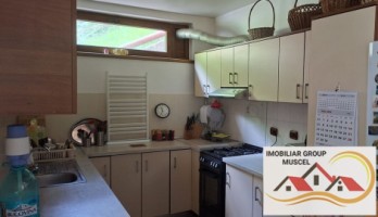 vila-pem-9-camere-in-dambovicioaraargessupr291mp-teren-1200mppret-450000-euro-9