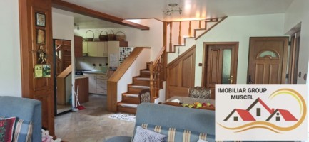 vila-pem-9-camere-in-dambovicioaraargessupr291mp-teren-1200mppret-450000-euro-10