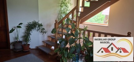 vila-pem-9-camere-in-dambovicioaraargessupr291mp-teren-1200mppret-450000-euro-11