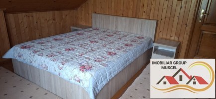 vila-pem-9-camere-in-dambovicioaraargessupr291mp-teren-1200mppret-450000-euro-13