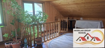 vila-pem-9-camere-in-dambovicioaraargessupr291mp-teren-1200mppret-450000-euro-14