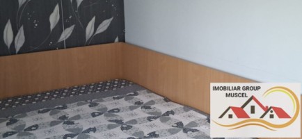 vila-pem-9-camere-in-dambovicioaraargessupr291mp-teren-1200mppret-450000-euro-23