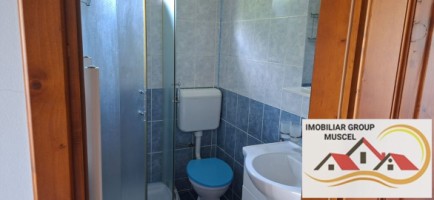 vila-pem-9-camere-in-dambovicioaraargessupr291mp-teren-1200mppret-450000-euro-22