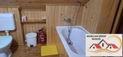vila-pem-9-camere-in-dambovicioaraargessupr291mp-teren-1200mppret-450000-euro-30