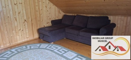 vila-pem-9-camere-in-dambovicioaraargessupr291mp-teren-1200mppret-450000-euro-34