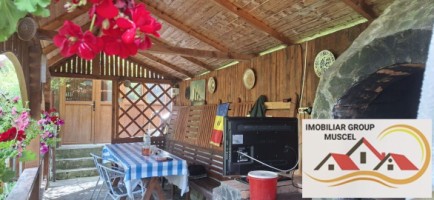 vila-pem-9-camere-in-dambovicioaraargessupr291mp-teren-1200mppret-450000-euro-39