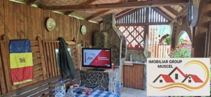 vila-pem-9-camere-in-dambovicioaraargessupr291mp-teren-1200mppret-450000-euro-38