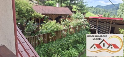 vila-pem-9-camere-in-dambovicioaraargessupr291mp-teren-1200mppret-450000-euro-37