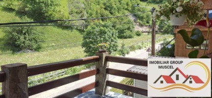 vila-pem-9-camere-in-dambovicioaraargessupr291mp-teren-1200mppret-450000-euro-36