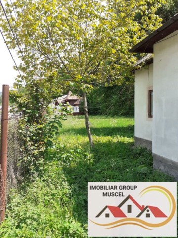 vanzare-doua-case-deosebite-intr-o-zona-pitoreasca-a-rucar-cu-o-suprafata-de-teren-6000-mp-la-pretul-1000000-euro-negociabil-12