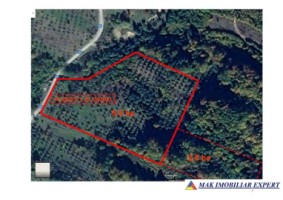 vand-extravilan-25-ha-1-ha-padure-in-botesti-arges-3